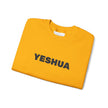 “Yeshua” Embroidered Sweatshirt, Scripture Sleeve - Relaxed Fit
