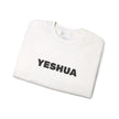 “Yeshua” Embroidered Sweatshirt, Scripture Sleeve - Relaxed Fit