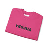 “Yeshua” Embroidered Sweatshirt, Scripture Sleeve - Relaxed Fit
