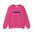 “Yeshua” Embroidered Sweatshirt, Scripture Sleeve - Relaxed Fit