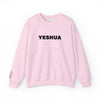“Yeshua” Embroidered Sweatshirt, Scripture Sleeve - Relaxed Fit